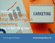 Vinasite – Đơn vị dịch tiếng Nhật chuyên ngành marketing